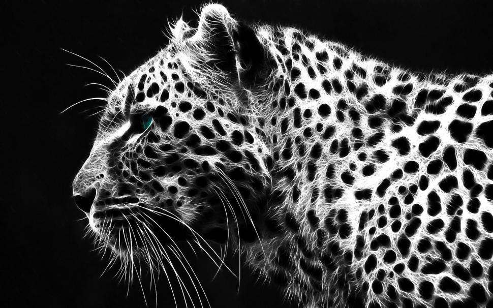 Black White Leopard wallpaper,leopard HD wallpaper,white HD wallpaper,black HD wallpaper,beauty HD wallpaper,animals HD wallpaper,1920x1200 wallpaper