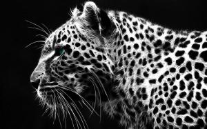 Black White Leopard wallpaper thumb