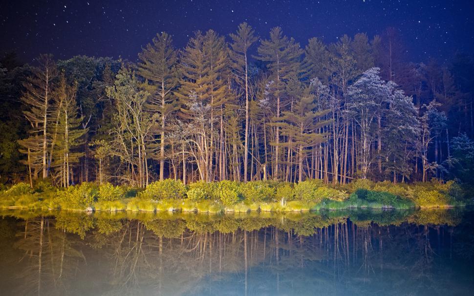 Trees Forest Night Reflection Stars HD wallpaper,nature HD wallpaper,trees HD wallpaper,night HD wallpaper,stars HD wallpaper,forest HD wallpaper,reflection HD wallpaper,2560x1600 wallpaper