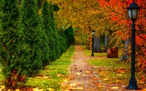 Park, autumn, road, trees, lantern, leaves wallpaper thumb