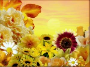 floral bliss flowers nature Yellow HD wallpaper thumb