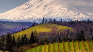 Mount Adams Oregon wallpaper thumb