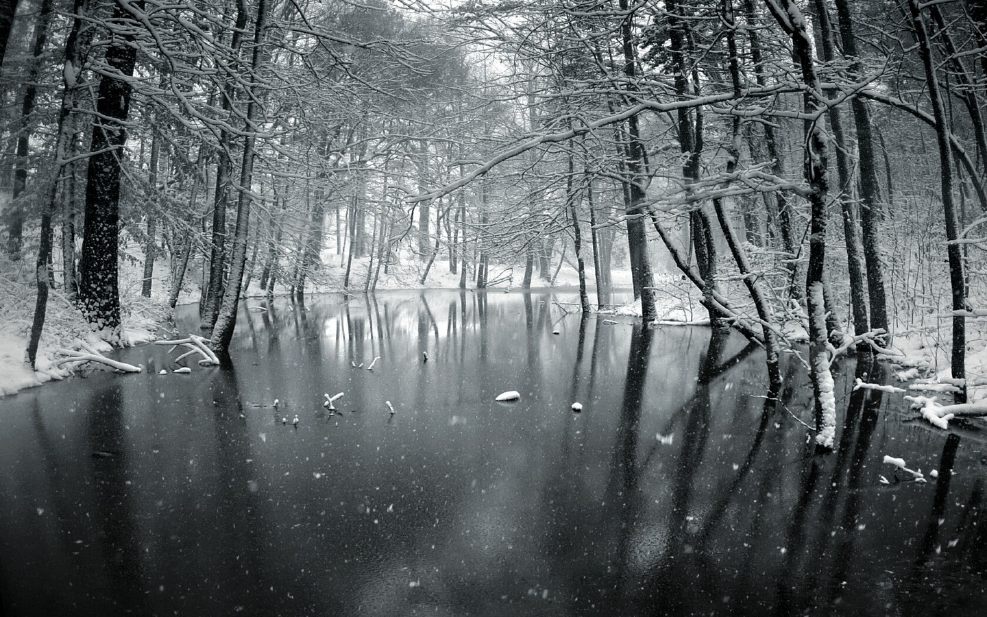 Trees Winter Snow River BW HD wallpaper | nature and landscape ...