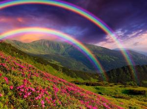 Nature landscape, mountains, flowers, rainbow wallpaper thumb
