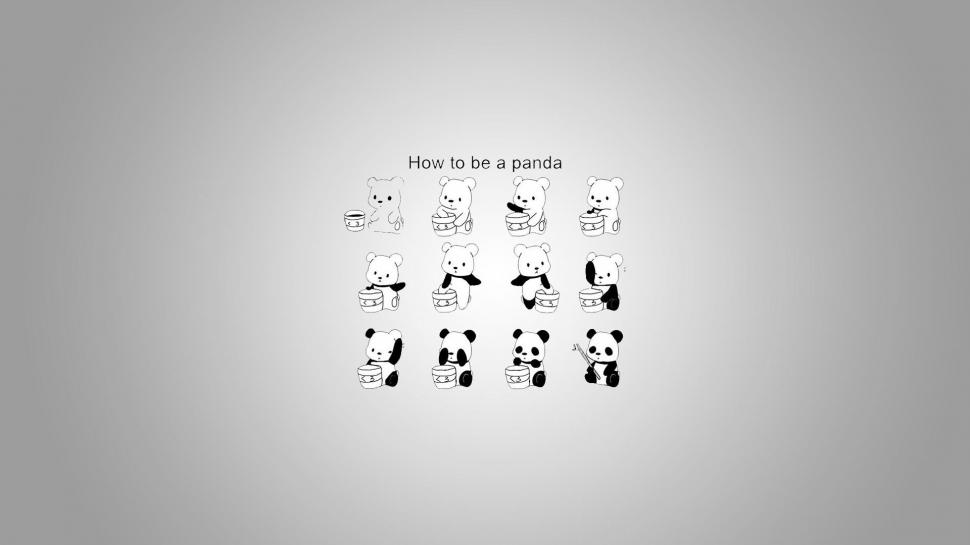 How to be a panda wallpaper,funny HD wallpaper,1920x1080 HD wallpaper,bear HD wallpaper,panda HD wallpaper,1920x1080 wallpaper