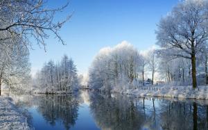 Snowy, Forest, Nature, snow, winter, reflection, tress, season, sky, water, cold wallpaper thumb