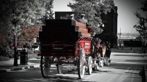 Bud Wagon Clydesdales wallpaper thumb
