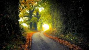 Country Lane In Autumn wallpaper thumb