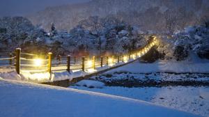 Awesome Footbridge In Winter At Night wallpaper thumb