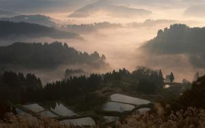 Nature, Landscape,, Mist, Sunrise, Valley, Forest, Mountain, Terraces, Water wallpaper thumb