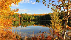Golden autumn, fall, leaves, sky, pond, lake, clouds, trees wallpaper thumb