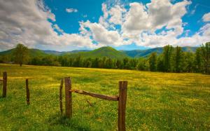 Summer landscape, grass, yellow flowers, fence, hills, clouds wallpaper thumb