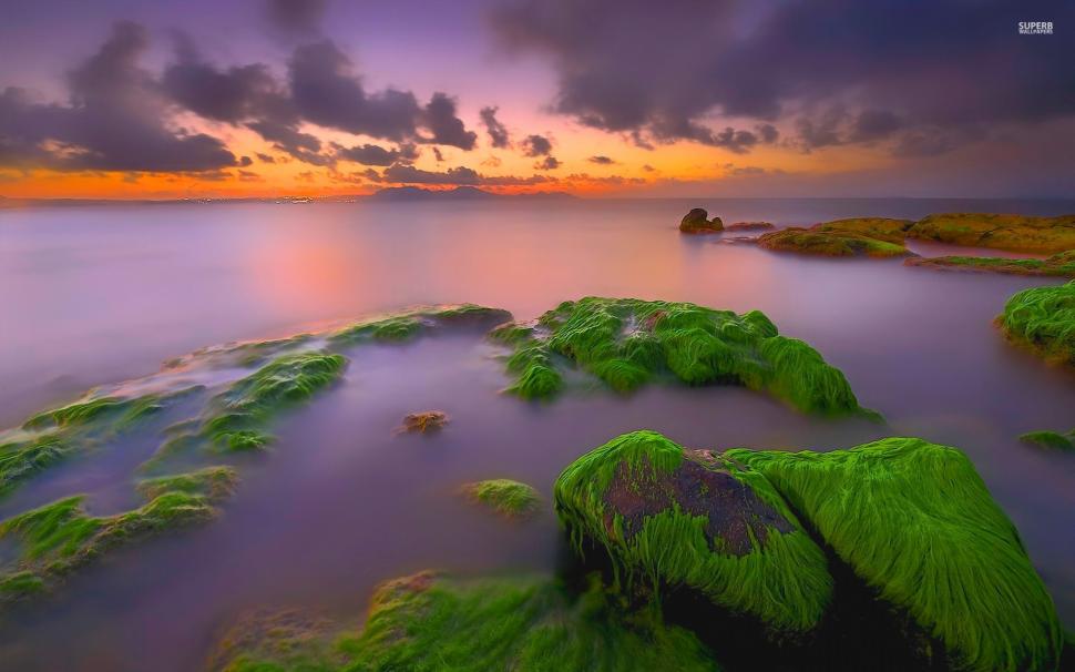 Sunset over the mossy rocks wallpaper,nature HD wallpaper,1920x1200 HD wallpaper,sunset HD wallpaper,Rock HD wallpaper,moss HD wallpaper,Water HD wallpaper,sky HD wallpaper,cloud HD wallpaper,hd water wallpapers HD wallpaper,2880x1800 wallpaper
