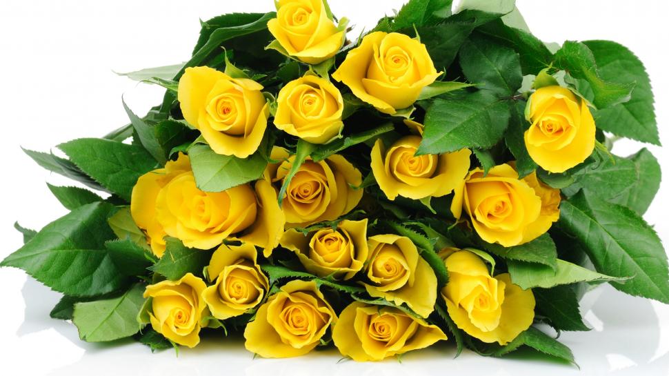 A bouquet flowers, yellow roses wallpaper,Bouquet HD wallpaper,Flowers HD wallpaper,Yellow HD wallpaper,Roses HD wallpaper,2560x1440 wallpaper