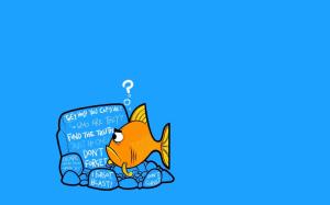 Fish, Text, Humor wallpaper thumb