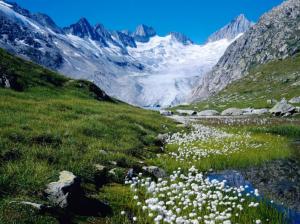Switzerland, Nature, Landscape, Mountains, Cliff, Rocks, Flowers, Green, White, River, Blue Sky, Photography wallpaper thumb