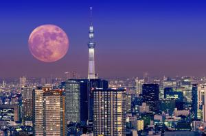 Japan, Tokyo, Moon wallpaper thumb