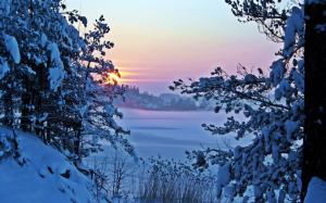 Winter morning, snow, sunrise, trees wallpaper thumb