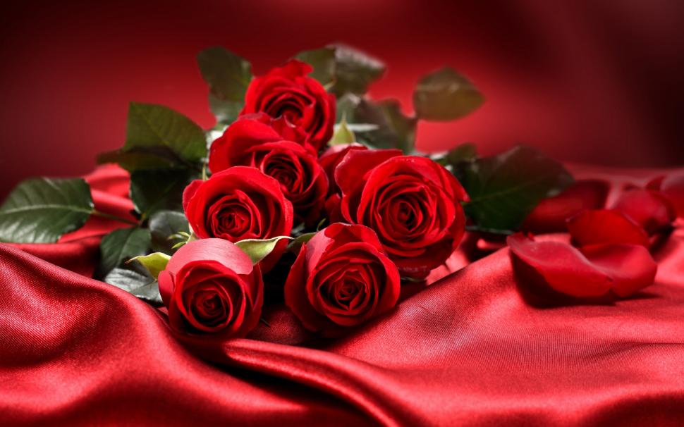 Bouquet flowers, red roses, love, Valentine's Day wallpaper,Bouquet HD wallpaper,Flowers HD wallpaper,Red HD wallpaper,Roses HD wallpaper,Love HD wallpaper,Valentine HD wallpaper,Day HD wallpaper,2560x1600 wallpaper