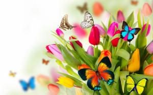 Flowers Colorful wallpaper thumb