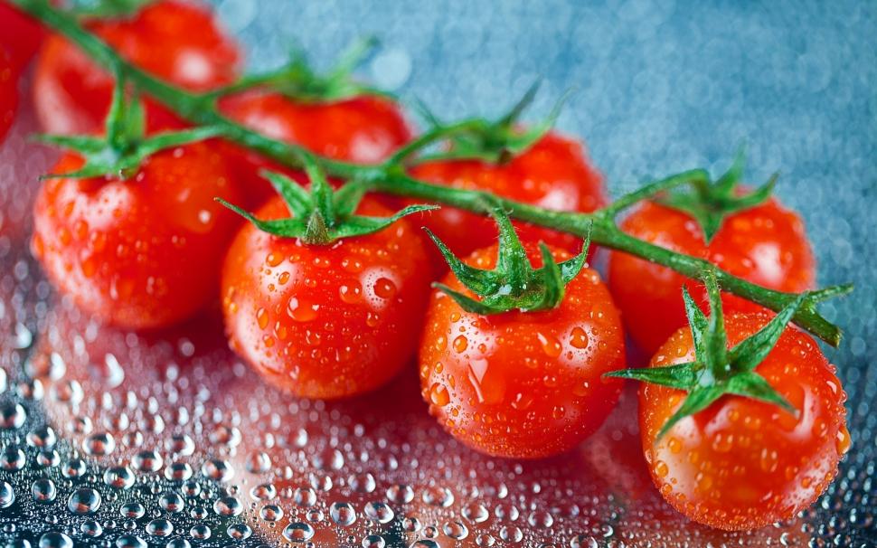 Fresh Cherry Tomatoes wallpaper,vegetables HD wallpaper,water drops HD wallpaper,food HD wallpaper,2880x1800 wallpaper