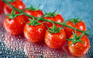 Fresh Cherry Tomatoes wallpaper thumb