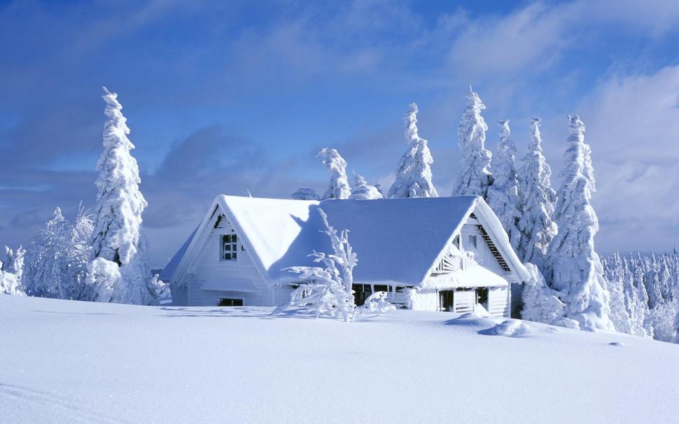 House Covered in Snow wallpaper,winter HD wallpaper,nature HD wallpaper,house HD wallpaper,covered HD wallpaper,snow HD wallpaper,2560x1600 wallpaper