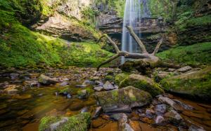 Waterfall Moss Forest Rocks Stones Stream Log HD wallpaper thumb