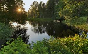 Sweden, lake, forest, trees, sun rays wallpaper thumb