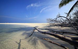 Embudu, Maldives, ocean, beach, sand, twigs wallpaper thumb