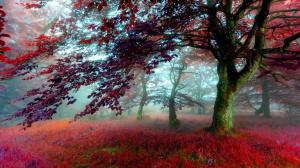 Awesome Autumn Forest wallpaper thumb