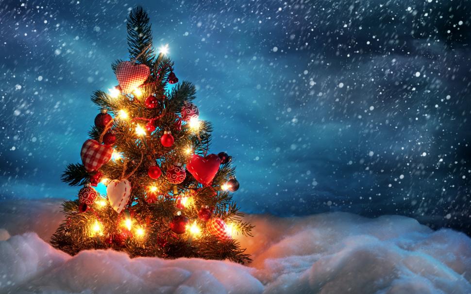 Light Christmas Tree  Free Download  wallpaper,christmas HD wallpaper,light HD wallpaper,present HD wallpaper,snow HD wallpaper,tree HD wallpaper,2560x1600 wallpaper