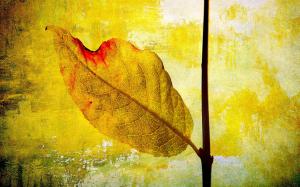 Leaf Painting wallpaper thumb