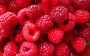 Red Raspberry berries, close-up photography wallpaper thumb