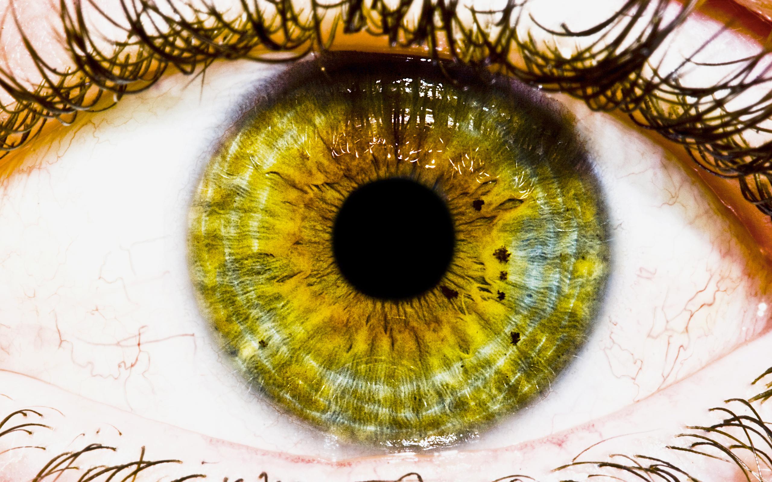 Download wallpaper for 2560x1440 resolution | The Eye | other ...