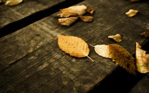 fallen leaves on wood autumn fall nature wallpaper thumb