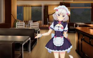 Anime Girls, Maid Outfit, Maid wallpaper thumb