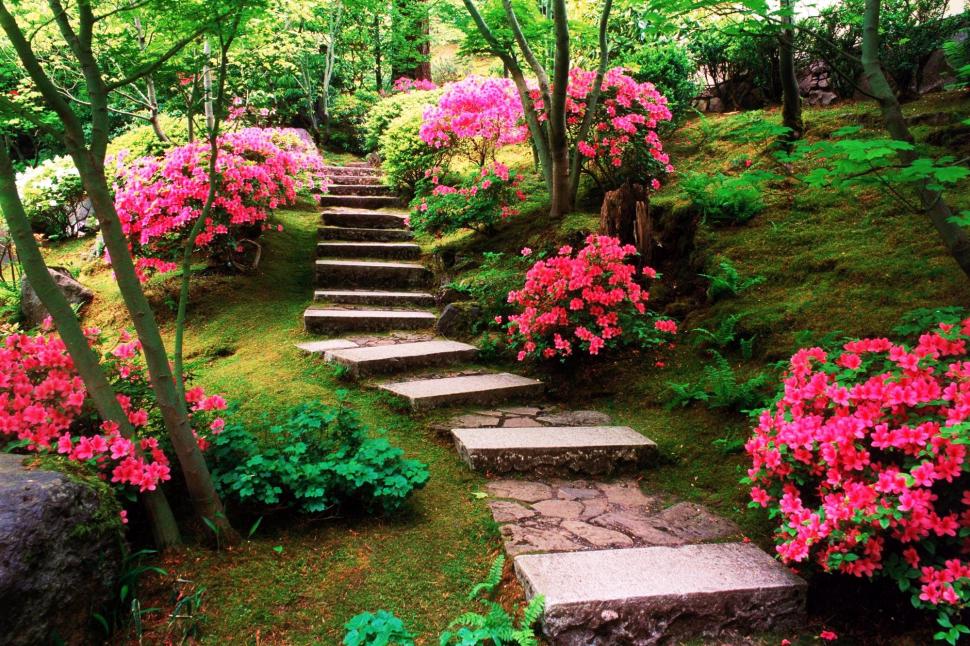 Steps In The Blooms wallpaper,trees HD wallpaper,blooms HD wallpaper,stairs HD wallpaper,garden HD wallpaper,pink HD wallpaper,flowers HD wallpaper,3d & abstract HD wallpaper,1999x1333 wallpaper