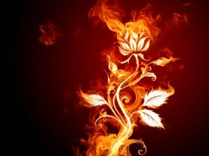 Flower Flame Fire Red HD wallpaper thumb