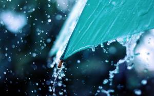 Umbrella Water Drops Macro Rain HD wallpaper thumb