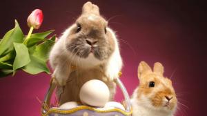 Two Cute Bunnies in an Easter Basket HD wallpaper thumb