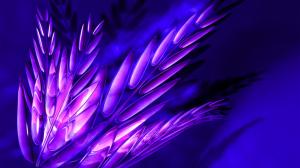Abstractive pictures, plants, leaves, purple, blue wallpaper thumb