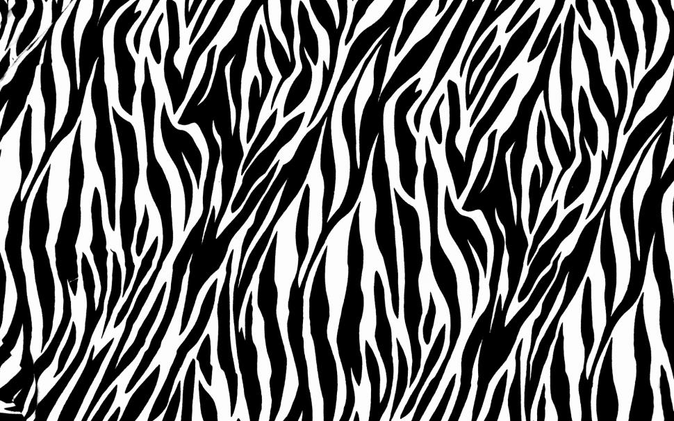 Zebra Print wallpaper,background HD wallpaper,black HD wallpaper,white HD wallpaper,1920x1200 wallpaper
