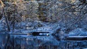 Nature Landscapes Trees Forest Lakes Water Reflection Winter Snow Season Dock Pier Cold High Quality wallpaper thumb