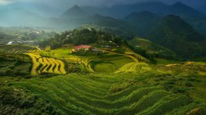 Rice Terraces in Vietnam wallpaper thumb