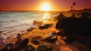 Sunset Landscapes Nature Beach Pictures wallpaper thumb