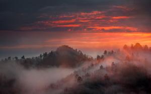 Nature, Landscape, Mist, Sunrise, Mountain, Forest, Sky wallpaper thumb