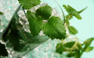 Drinks mojito, green mint leaves, glass cup wallpaper thumb