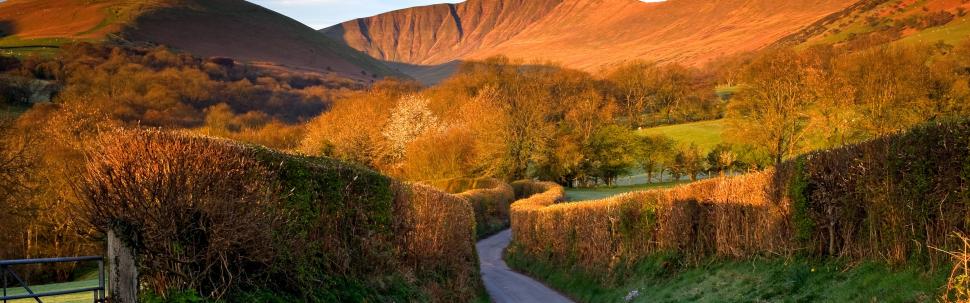 Trees, road, mountains, Brecon Beacons, Wales, UK wallpaper,Trees HD wallpaper,Road HD wallpaper,Mountains HD wallpaper,Brecon HD wallpaper,Beacons HD wallpaper,Wales HD wallpaper,UK HD wallpaper,3840x1200 wallpaper