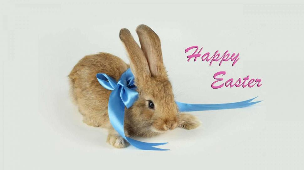 Happy Easter Bunny wallpaper,easter HD wallpaper,bunny HD wallpaper,rabbit HD wallpaper,happy easter HD wallpaper,blue HD wallpaper,cute HD wallpaper,holiday HD wallpaper,pink HD wallpaper,3d & abstract HD wallpaper,1920x1080 wallpaper